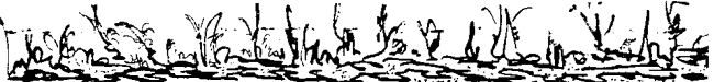leaves gif