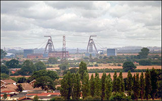 Council Office thumbnail picture